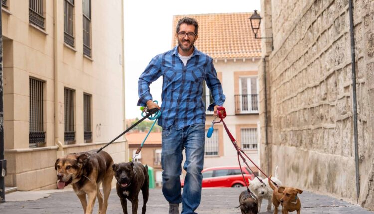 1723765387 30 ۲۷ ایده شغل دوم دو نظر پول‌ساز برای در