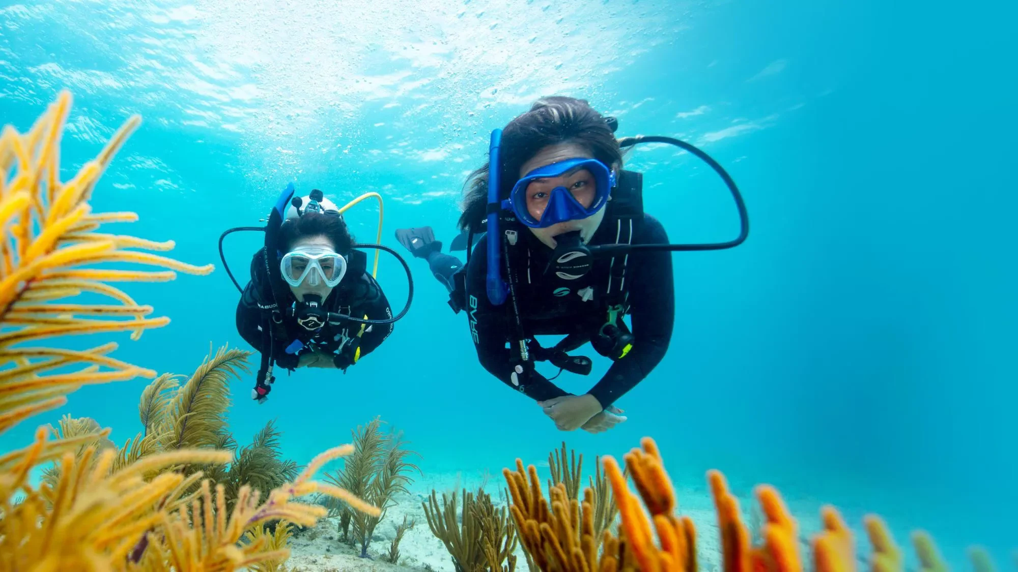 1724523178 740 ۲۰ بازی تابستانی آبی، جنگی و شگفت برای همه سنین اسکوار.webp