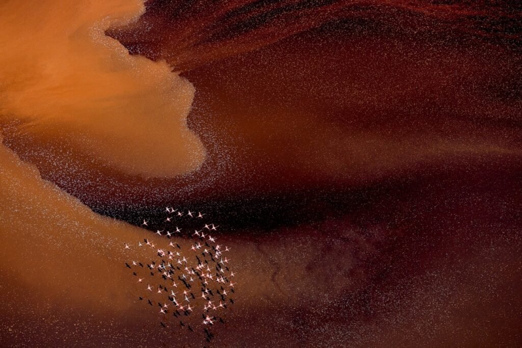 مسابقه عکاسی با پهپاد 2024