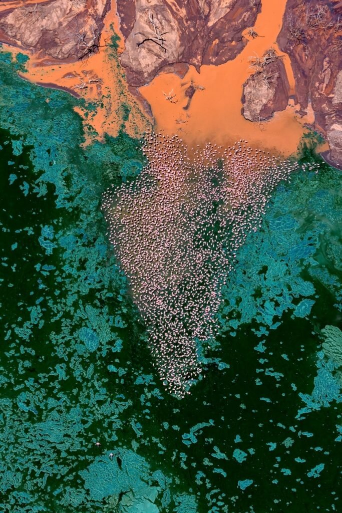 مسابقه عکاسی با پهپاد 2024