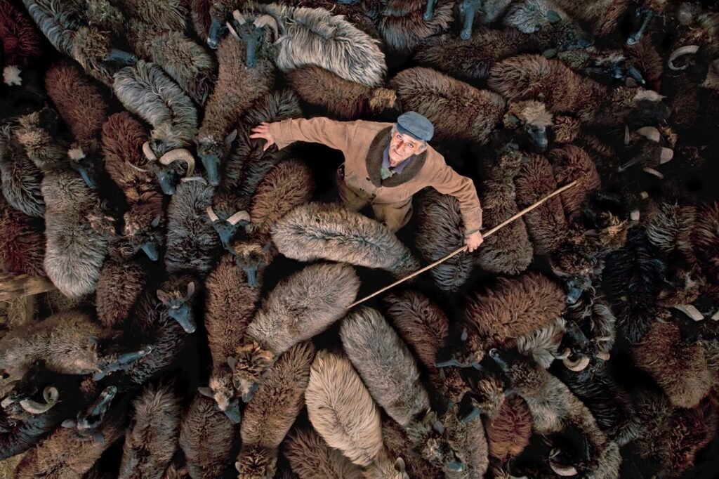 مسابقه عکاسی با پهپاد 2024