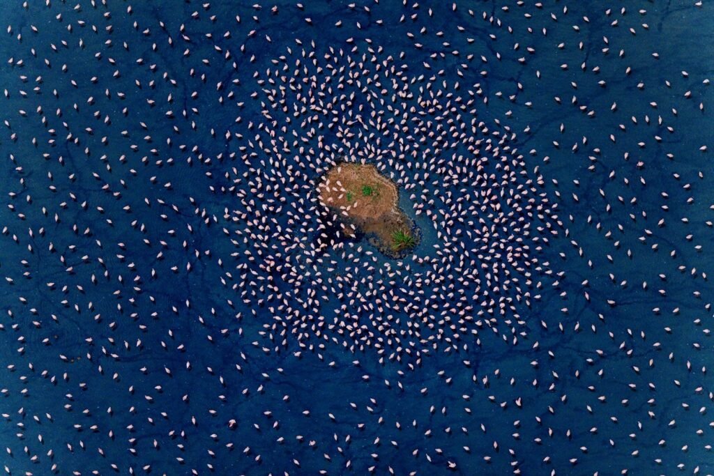 مسابقه عکاسی با پهپاد 2024