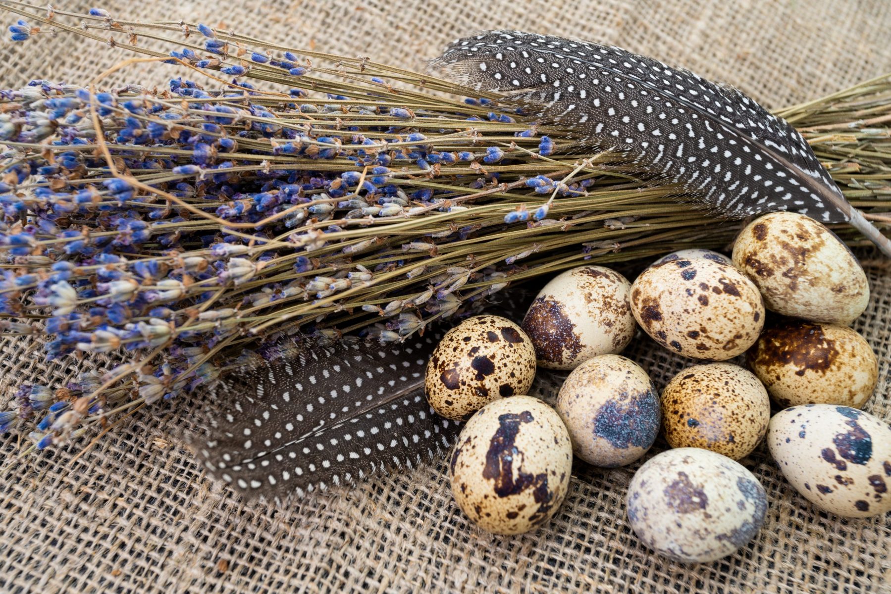 خواص تخم بلدرچین؛ ۱۳ خاصیت شگفت‌انگیز این خوراکی بی‌نظیر اسکوار