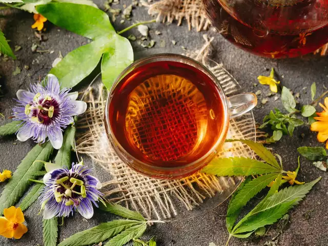 1742385726 541 دمنوش های سودمند ۱۲ دمنوش گیاهی سودمند که باید امتحان.webp