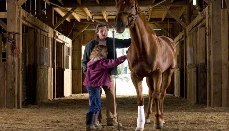 سرنوشت شگفت‌انگیز آمِلی پولن