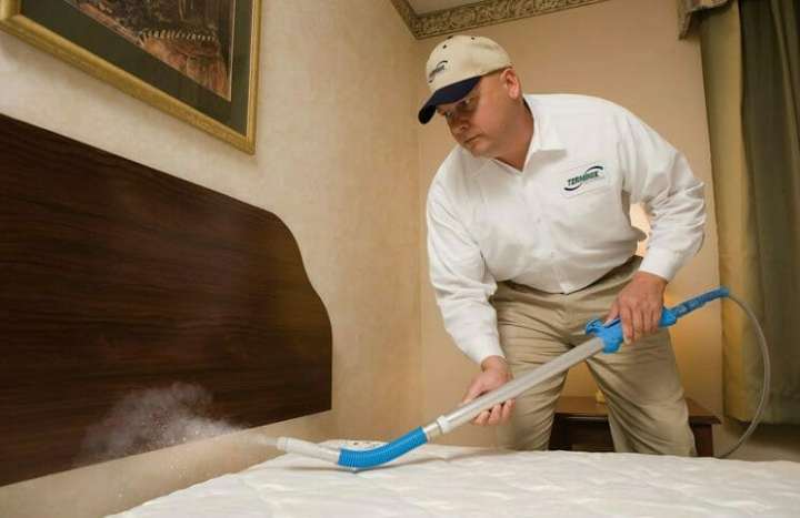 از بین بردن ساس | این حشره از چه چیزی بدش می آید_اسکوار 13 ساس - خلاص شدن از شر ساس