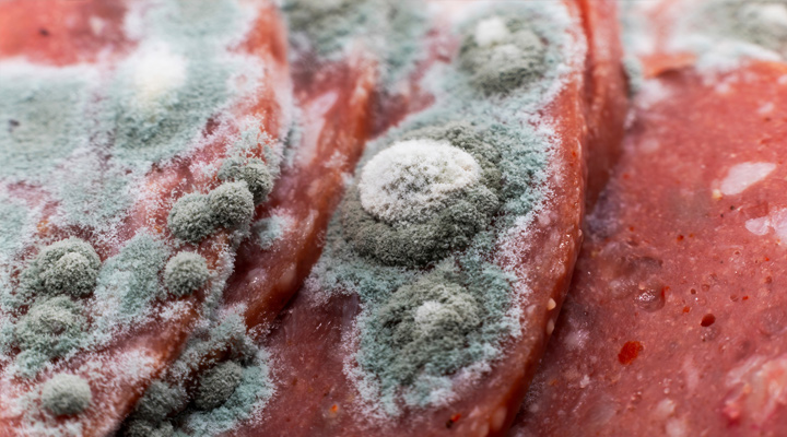 گوشت تازه و منجمد چه تفاوت‌هایی دارند؟ آیا گوشت تازه سالم‌تر است؟